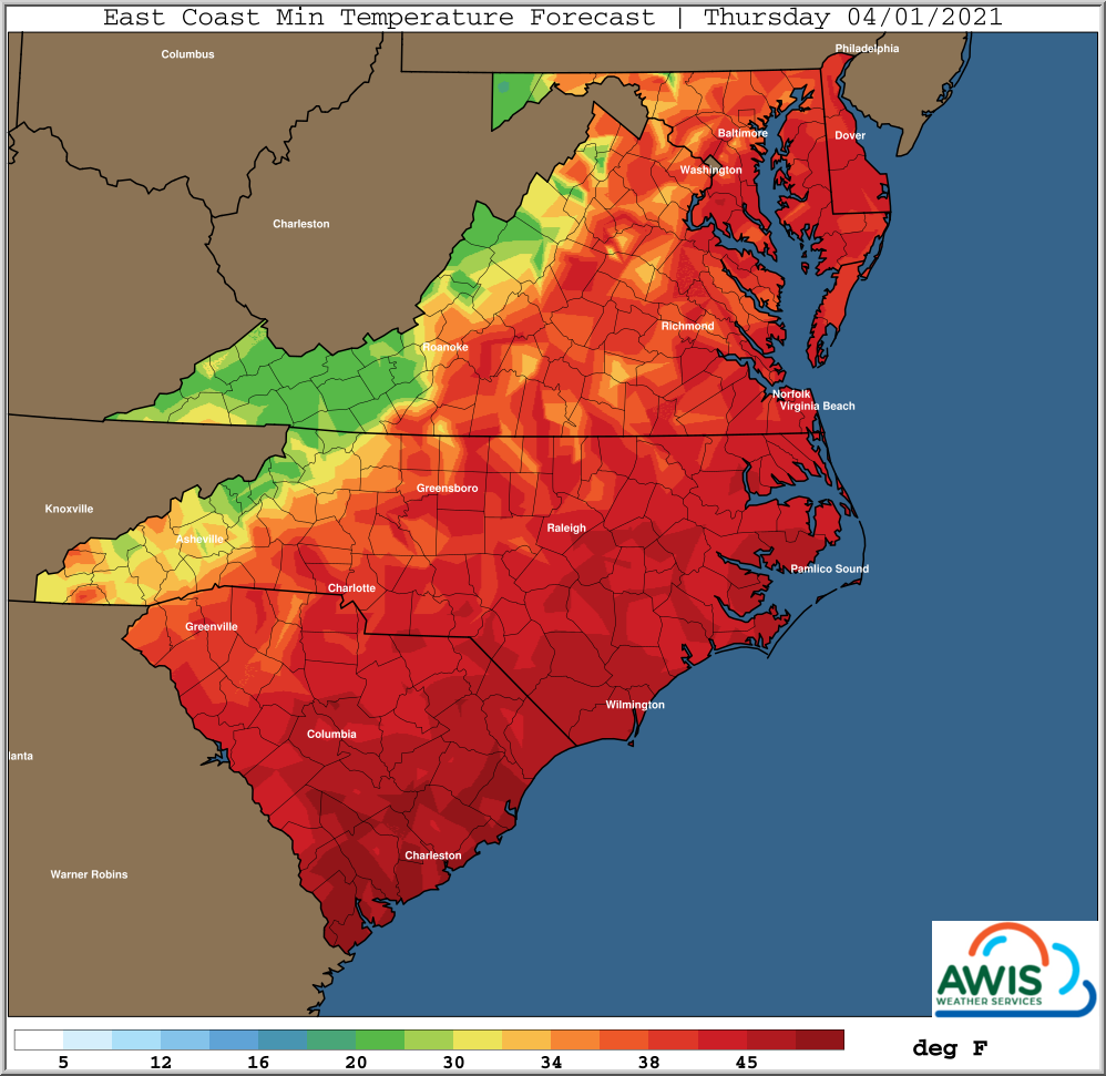 Thursday Temperature chart