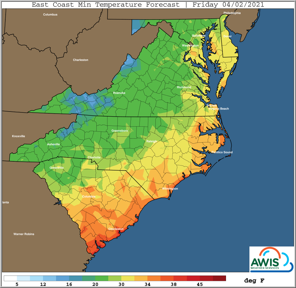 Friday Temperature chart