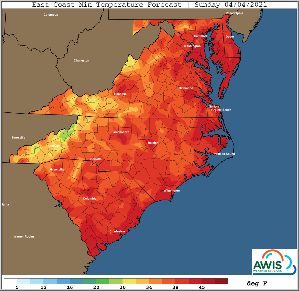 Sunday Temperature chart